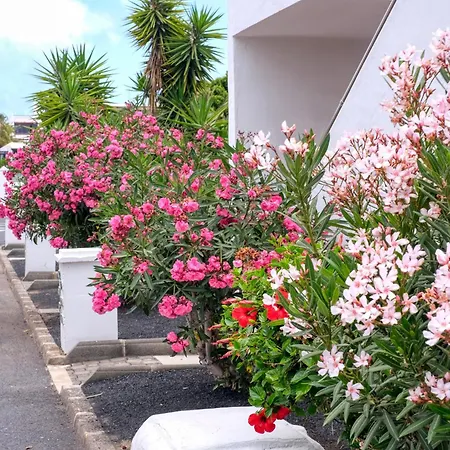 بيت للعطل Casa La Arena - Pool View By Lanzarote